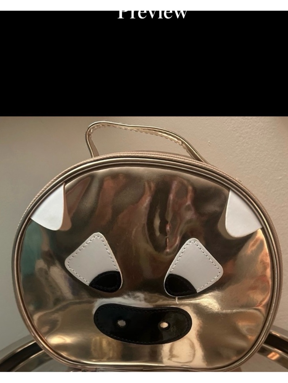 Unique big purse
